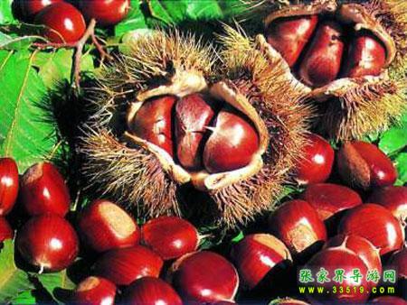 張家界特產 板栗